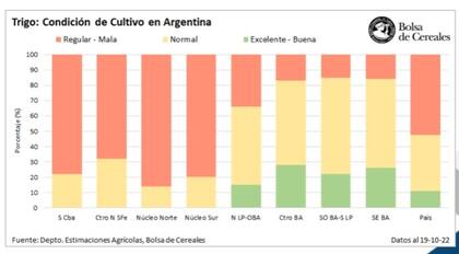 Condición del cultivo de trigo en la Argentina