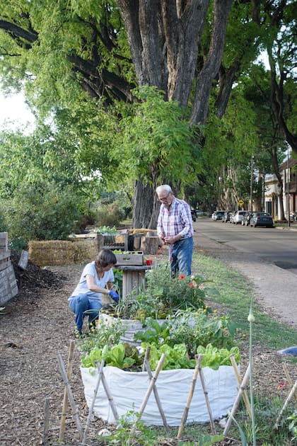 Conectarse con una huerta puede ser una forma fácil y accesible de empezar