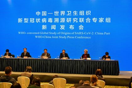 Conferencia de la Organización Mundial de la Salud, OMS, en Wuhan