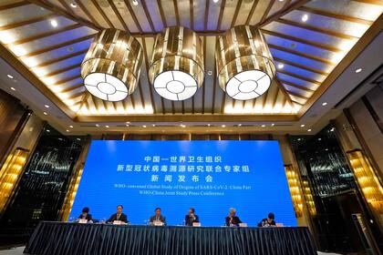 Conferencia de la Organización Mundial de la Salud, OMS, en Wuhan, sobre el origen del coronavirus