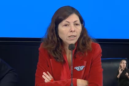 El 2 de julio renunció el ministro de Economía de Argentina, Martín Guzmán. En su reemplazo el presidente Alberto Fernández nombró a Silvina Batakis