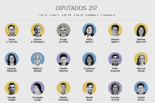 Los perfiles de los legisladores del nuevo Congreso, que deberán tratar la ley ómnibus