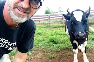 Conmovido al conocer la historia de una matanza de perros callejeros en Ucrania, Andrea Cisternino se radicó en ese país para detener esa realidad