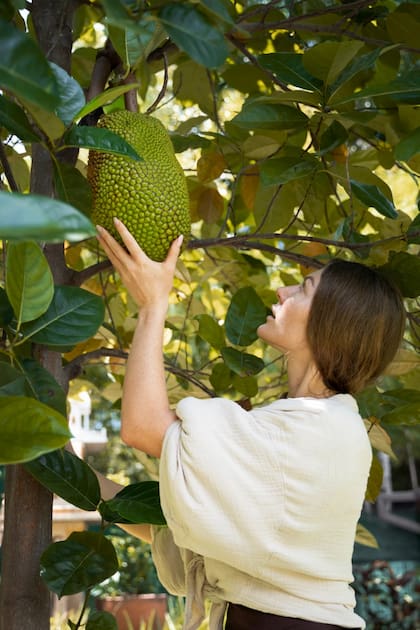 Conocé la fruta tropical más grande del mundo que regula el azúcar y es ideal para vegetarianos
