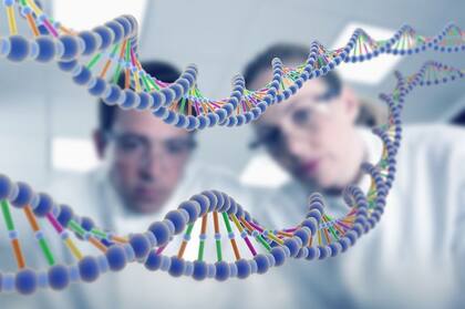Conocer la secuencia completa del Y servirá para ahondar las investigaciones sobre este raro cromosoma