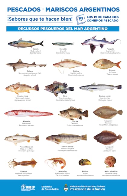 Conocer las variedades argentinas es fundamental para ser consumidores conscientes