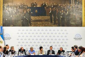 Consejo Económico y Social; Congreso; política