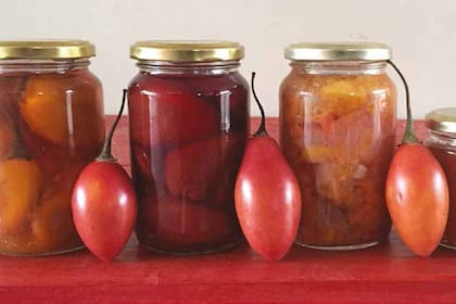 Conservas elaboradas a partir de frutos de chilto silvestres.