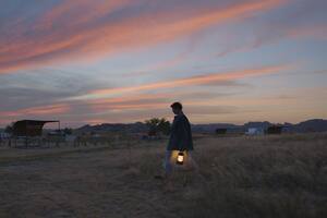 ‘Nomadland’:  Frances McDormand te sumerge en un drama silenciosamente conmovedor
