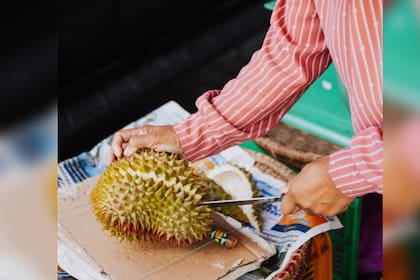 Considerado como “rey de las frutas”, el durian tiene una gran variedad de nutrientes y un alto contenido de fibra (Foto Pexels)
