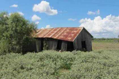 Construcción abandonada de aparceros en lo que era la plantación de los Weisiger y donde nació William Ellis, en el sur de Texas