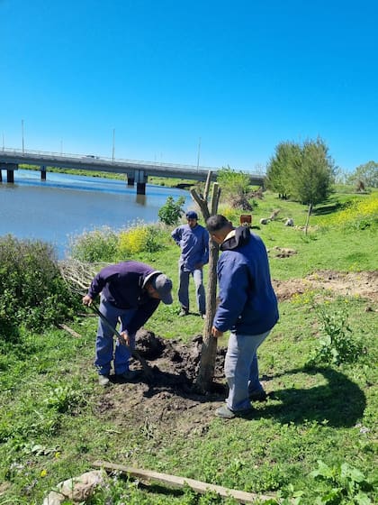 Construcción de corredor bilógico de Nordelta
