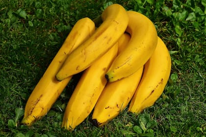 Consumir una o dos bananas por día no debería ser un problema