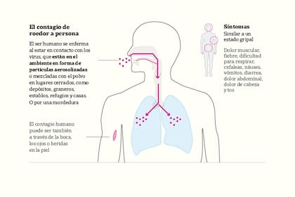 Contagio y síntomas