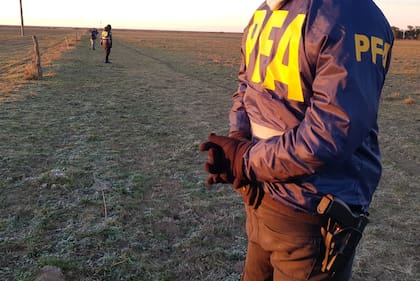 Personal de la Policía Federal participa del rastrillaje en el tramo de la ruta 3 entre Pedro Luro y Bahía Blanca