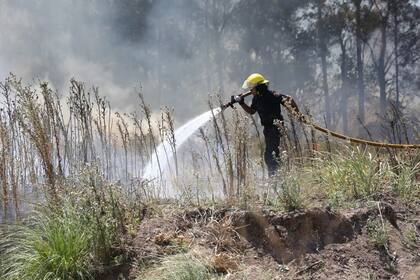 Continúan los incendios en la zona de Ezeiza