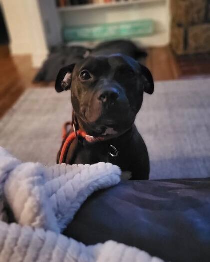 Contra todo pronóstico, Tudy salió adelante.