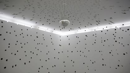 CONTRADICCIONES. Still song, 2005