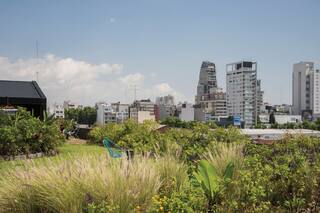 Palermo. Una terraza de oficinas selvática y descontracturada