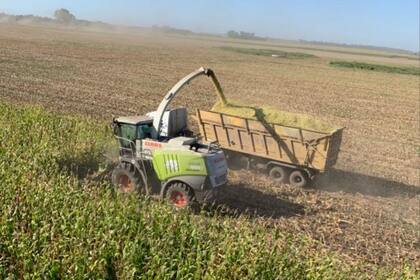 Contratistas forrajeros piden circular por las rutas para no cortar la cadena productiva
