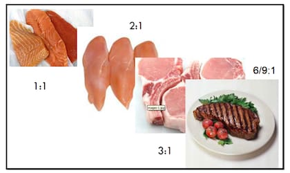 Conversión de alimento en carne por especie