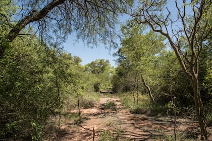 Los senderos del Parque que no tiene caminos habilitados para recorrer en vehículo.