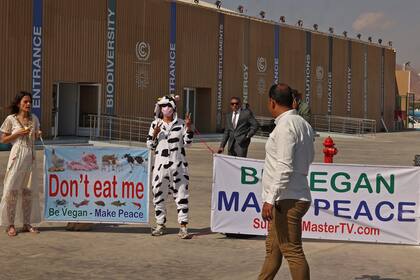 Activistas veganos protestan en la entrada del Centro Internacional de Convenciones de Sharm El Sheikh