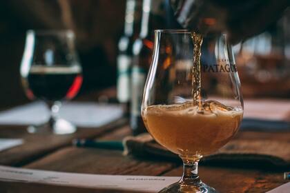 Copa de cerveza en Cervecería Patagonia