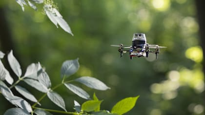 Copiar a las hormigas permite hacer drones minúsculos capaces de regresar a su punto de partida sin depender de un GPS