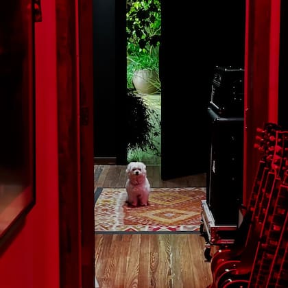 Copito, durante la visita de Depp