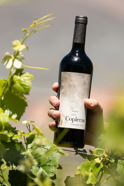 Copleras es una de las lineas más vendidas.