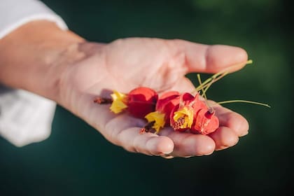 Corazonada, el nuevo restaurante de Paula Méndez Carrera en San Antonio de Areco