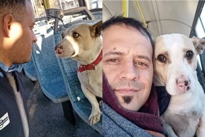 Corchito junto al colectivero