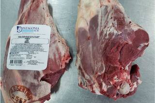 Escala una disputa judicial entre una entidad de la Patagonia y el Senasa por una histórica medida