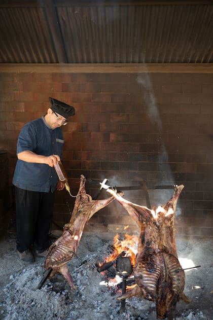 Cordero al asador para quienes participan de la salida diaria a la pingüiera