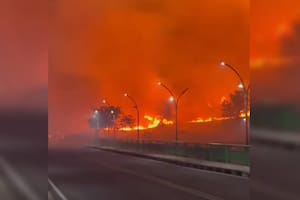 Los videos más impactantes del avance del fuego en Córdoba