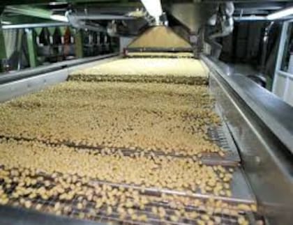 Córdoba es la mayor productora de maní del país