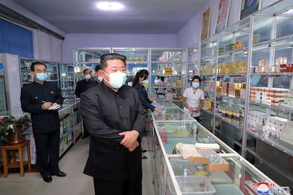 En esta foto proporcionada por el gobierno norcoreano, el líder norcoreano Kim Jong Un, centro, visita una farmacia en Pyongyang, Corea del Norte, el 15 de mayo de 2022
