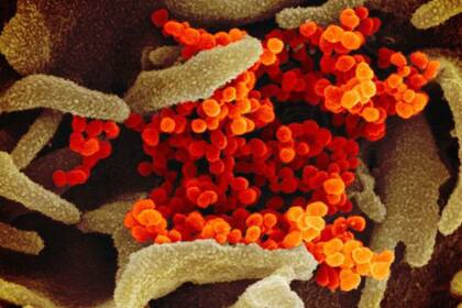 Corea del Sur se ha estado preparando para la epidemia