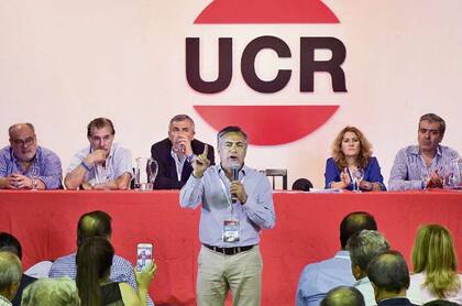 Cornejo habló ayer ante los representantes de la UCR
