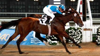 Corona del Inca montada por Falero