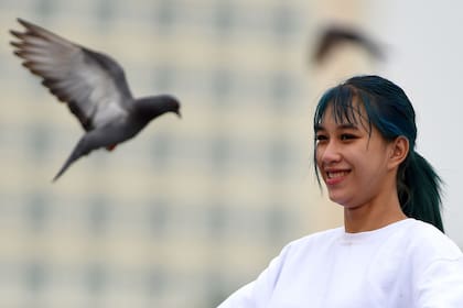 Una paloma vuela sobre una mujer en busca de alimento en un parque frente al Palacio Real de Phnom Penh, Cambodia