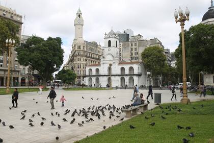 Las típicas palomas de Plaza de Mayo en Buenos Aires, Argentina, no tienen quién las alimente por la falta de gente en la zona