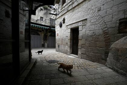 Los gatos caminan junto a una escultura de bronce del artista italiano Alessandro Mutto en una de las Estaciones de la Cruz a lo largo de la Vía Dolorosa, en la Ciudad Vieja de Jerusalén