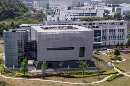 Coronavirus: el laboratorio de Wuhan, eje de una polémica mundial