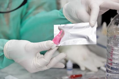 Pinchazo en el dedo y resultado en 20 minutos: así son los testeos rápidos