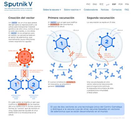 Así funciona la vacuna Sputnik V, según su página oficial