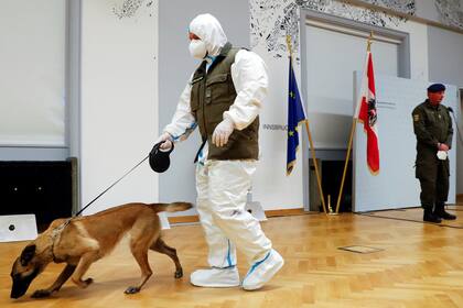 Fantasy,durante su entrenamiento