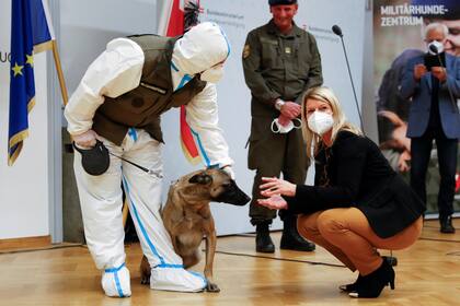 El animal fue entrenado para ayudar a contener el brote en el país europeo