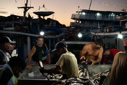 Los hombres reunidos en el mercado de pescado de Manaos